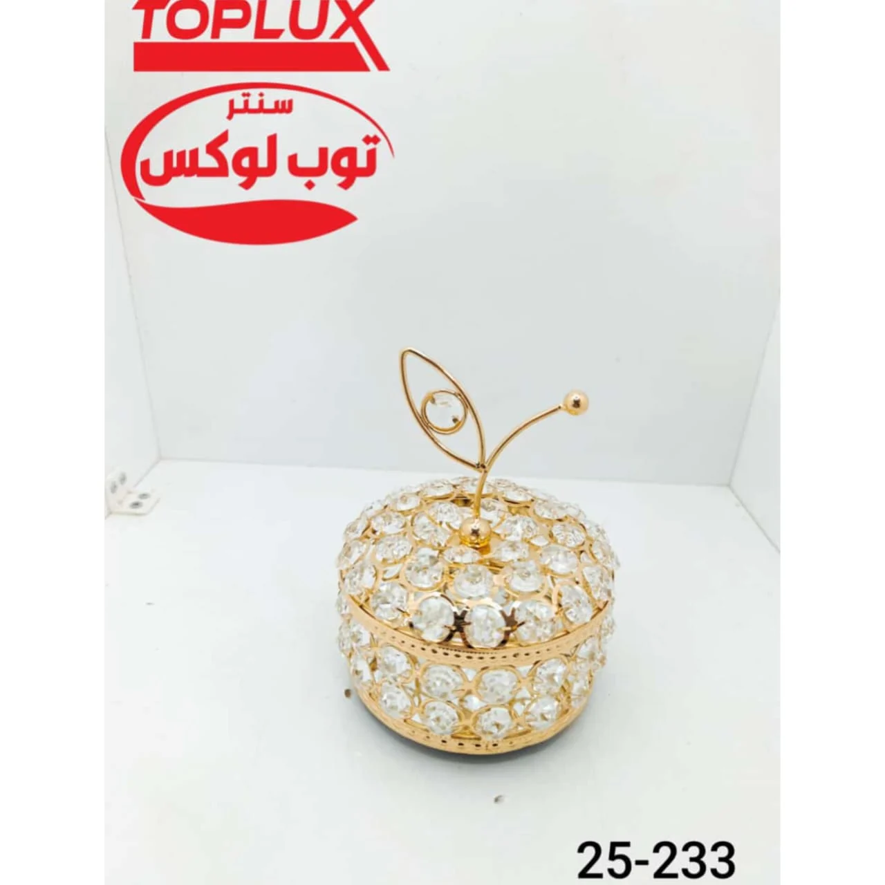 WhatsApp Image 2026 04 12 at 9.00.45 PM