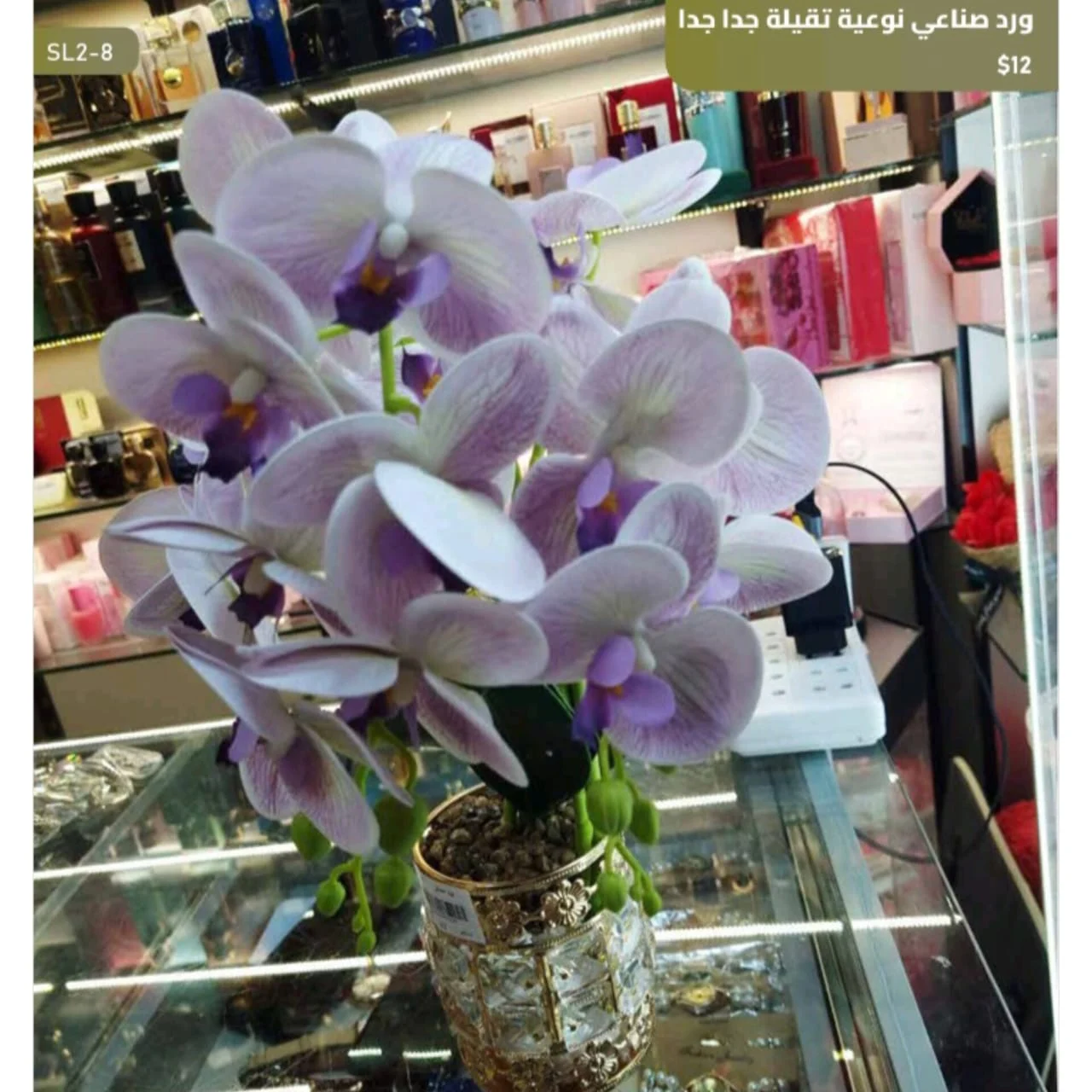 WhatsApp Image 2026 04 20 at 9.49.23 AM 1