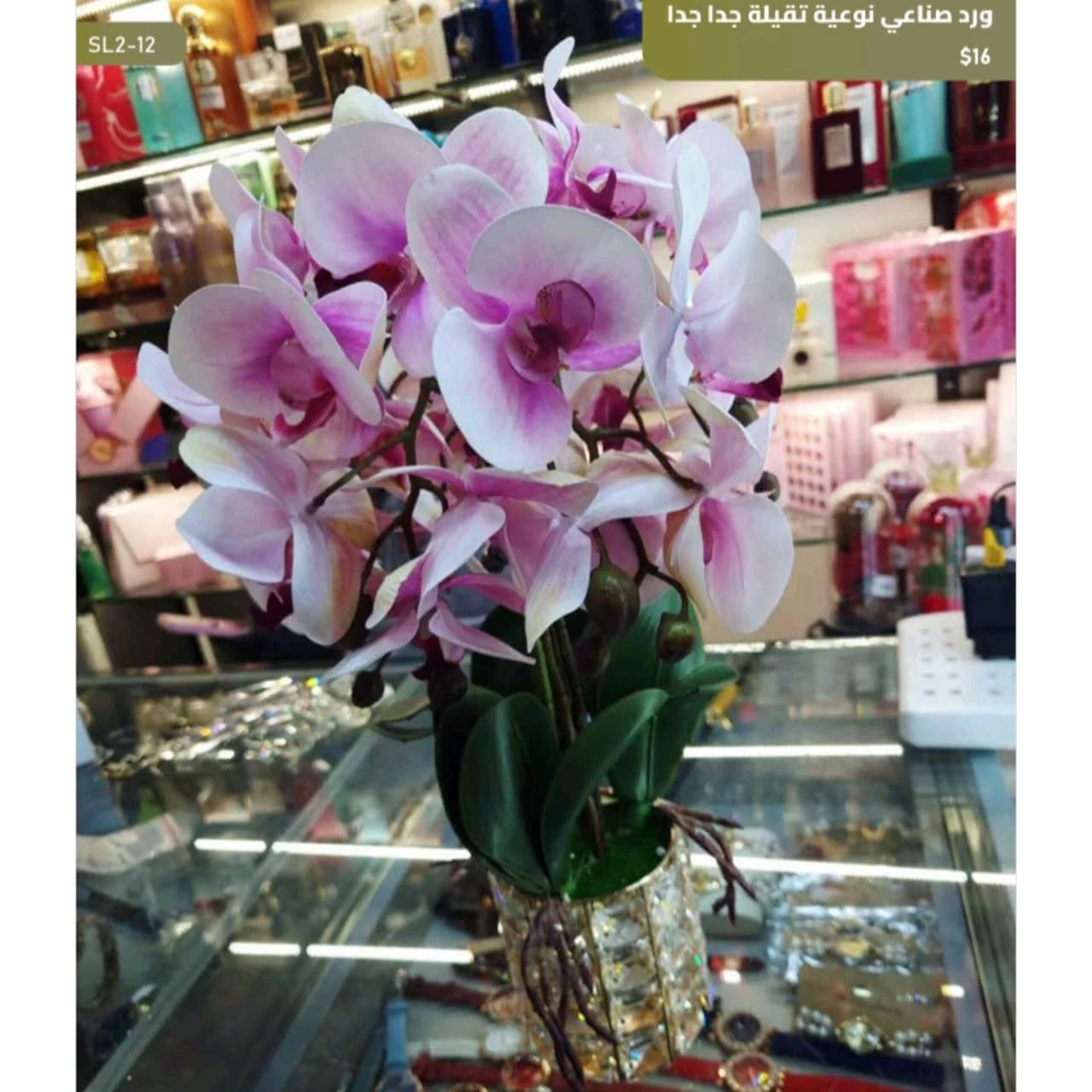 WhatsApp Image 2026 04 20 at 9.49.23 AM