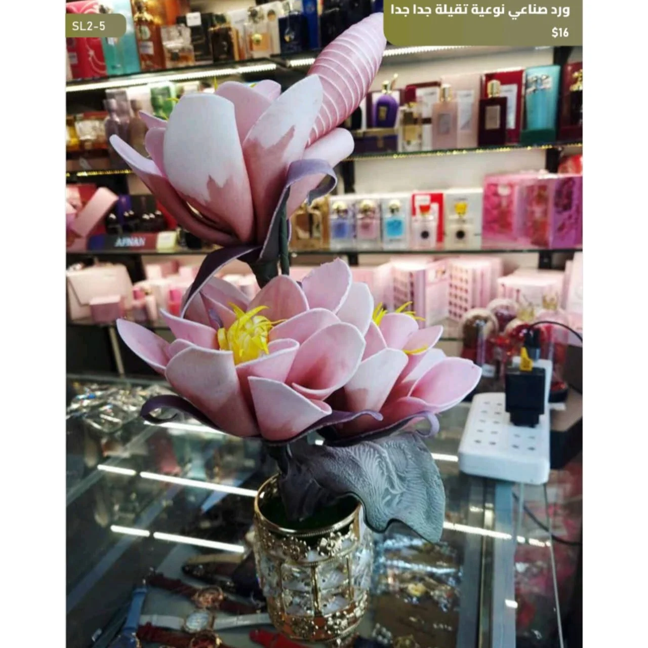 WhatsApp Image 2026 04 20 at 9.49.25 AM 2