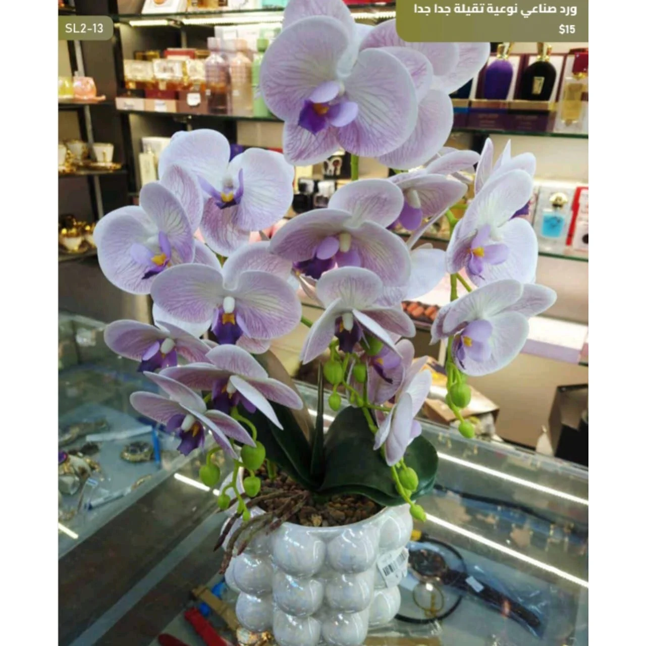 WhatsApp Image 2026 04 20 at 9.49.26 AM 1