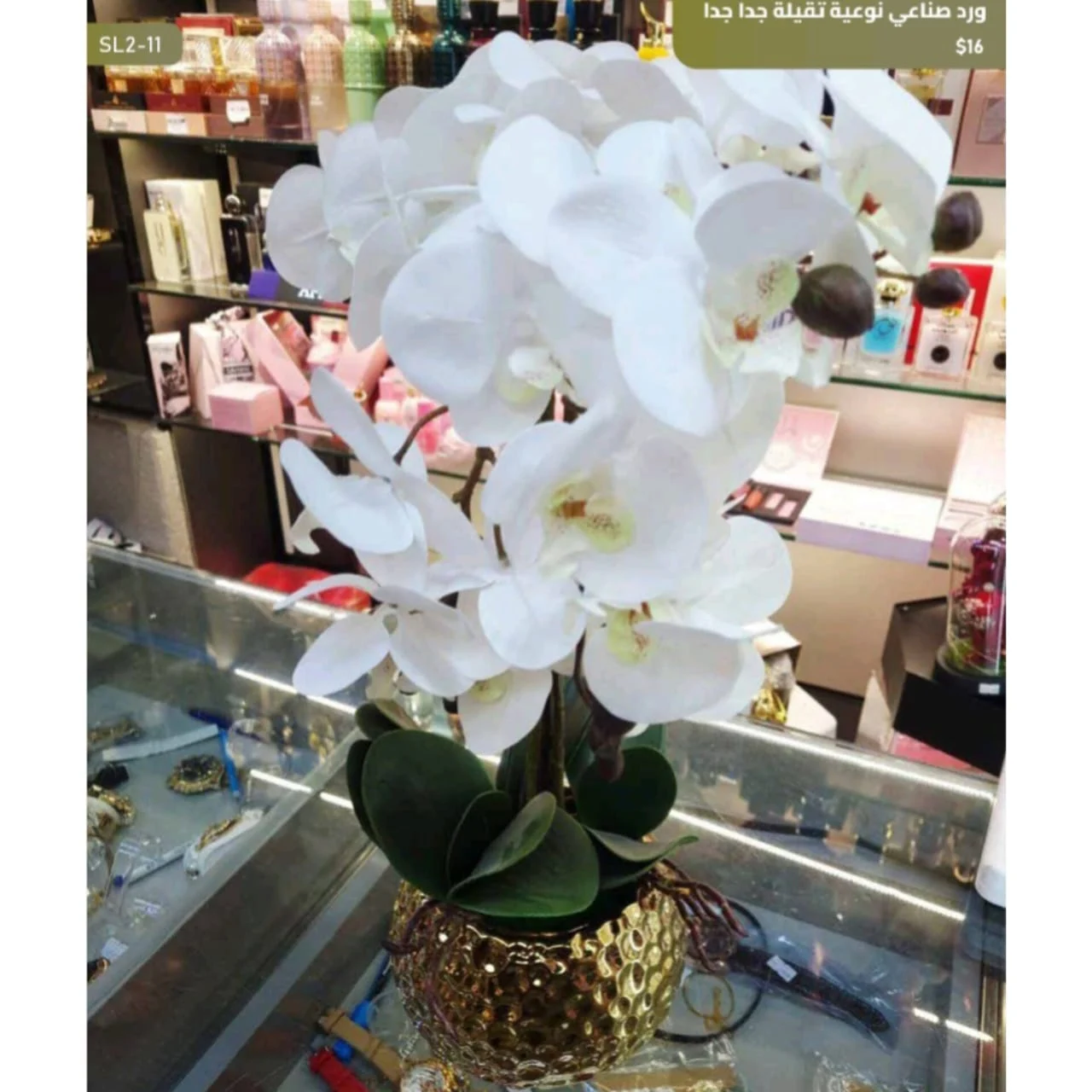 WhatsApp Image 2026 04 20 at 9.49.26 AM 2