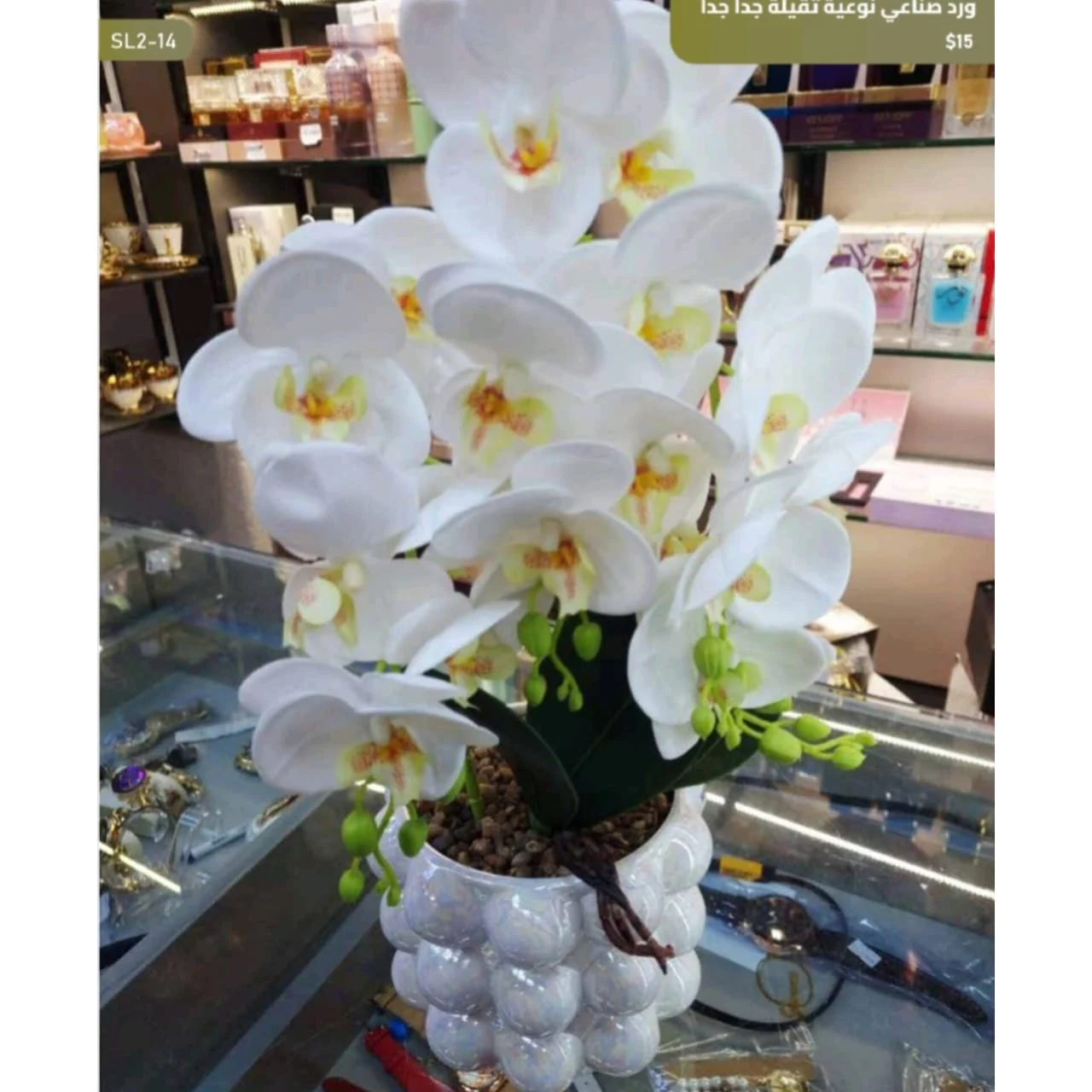 WhatsApp Image 2026 04 20 at 9.49.26 AM