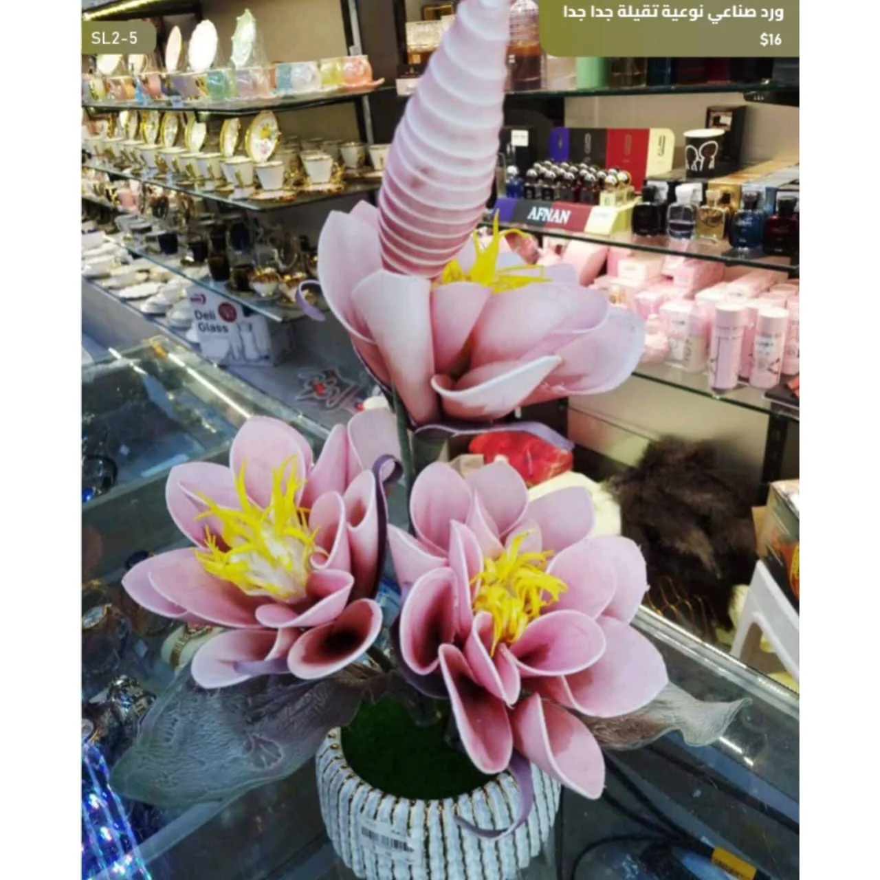 WhatsApp Image 2026 04 20 at 9.49.27 AM 1