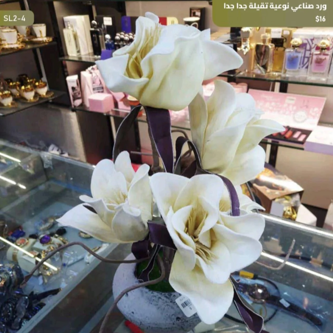 WhatsApp Image 2026 04 20 at 9.49.28 AM 1