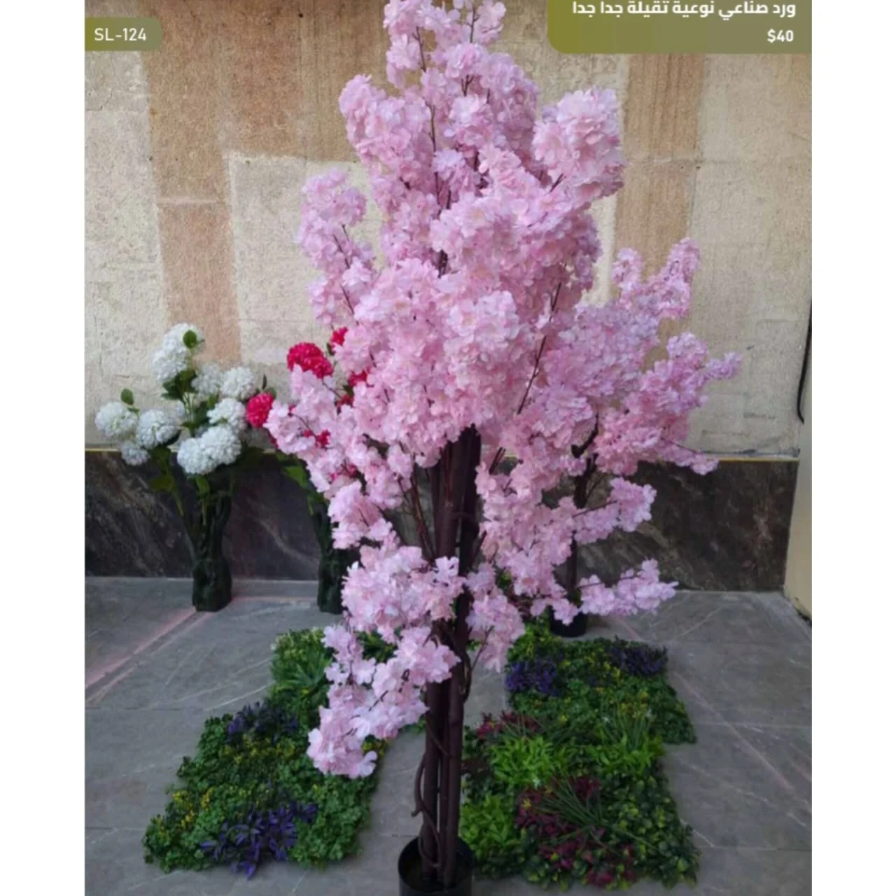 WhatsApp Image 2026 04 20 at 9.49.29 AM 1