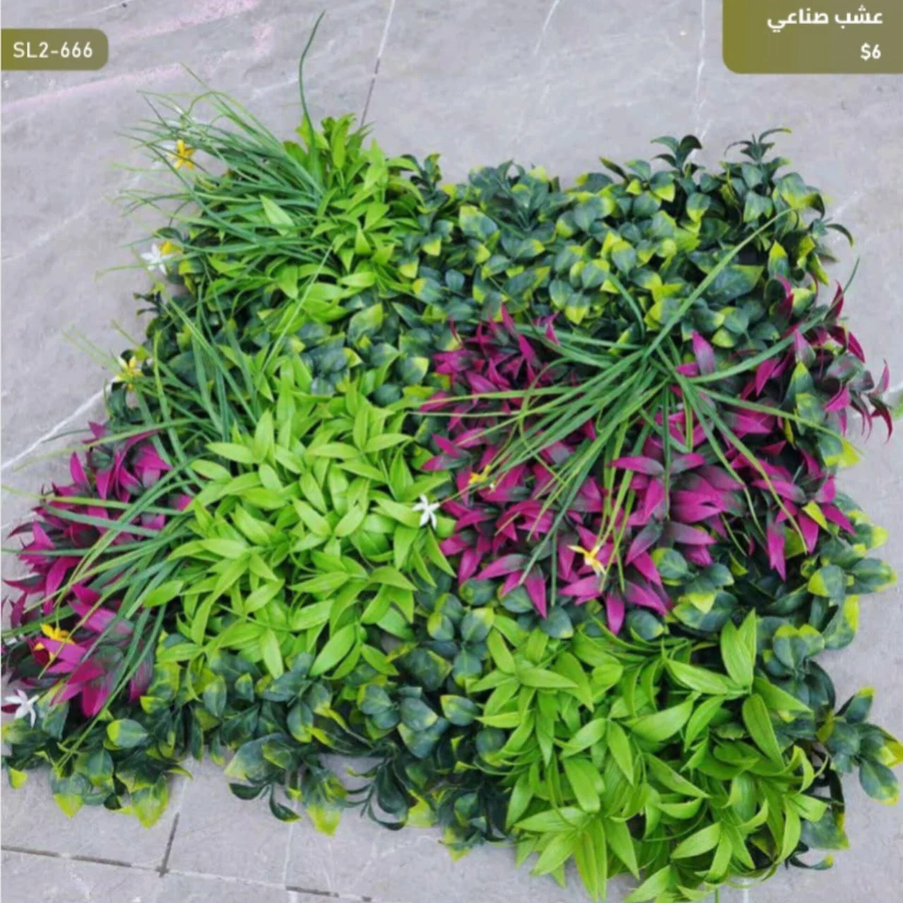 WhatsApp Image 2026 04 20 at 9.49.29 AM 2