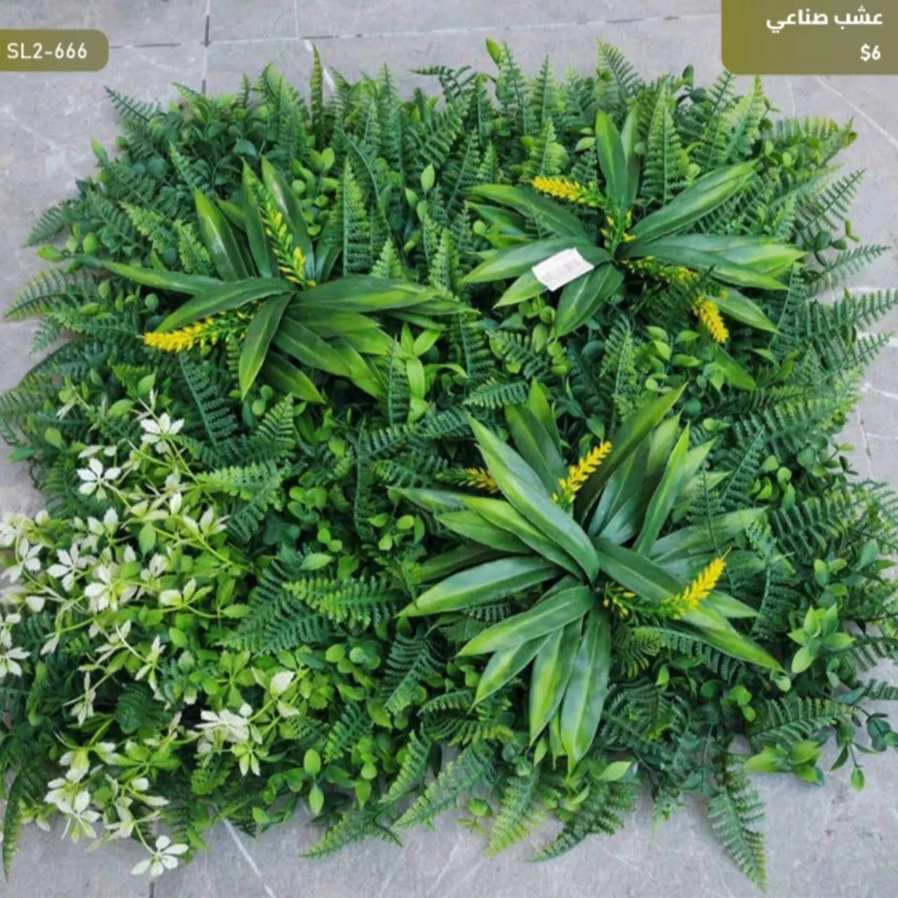 WhatsApp Image 2026 04 20 at 9.49.29 AM 3