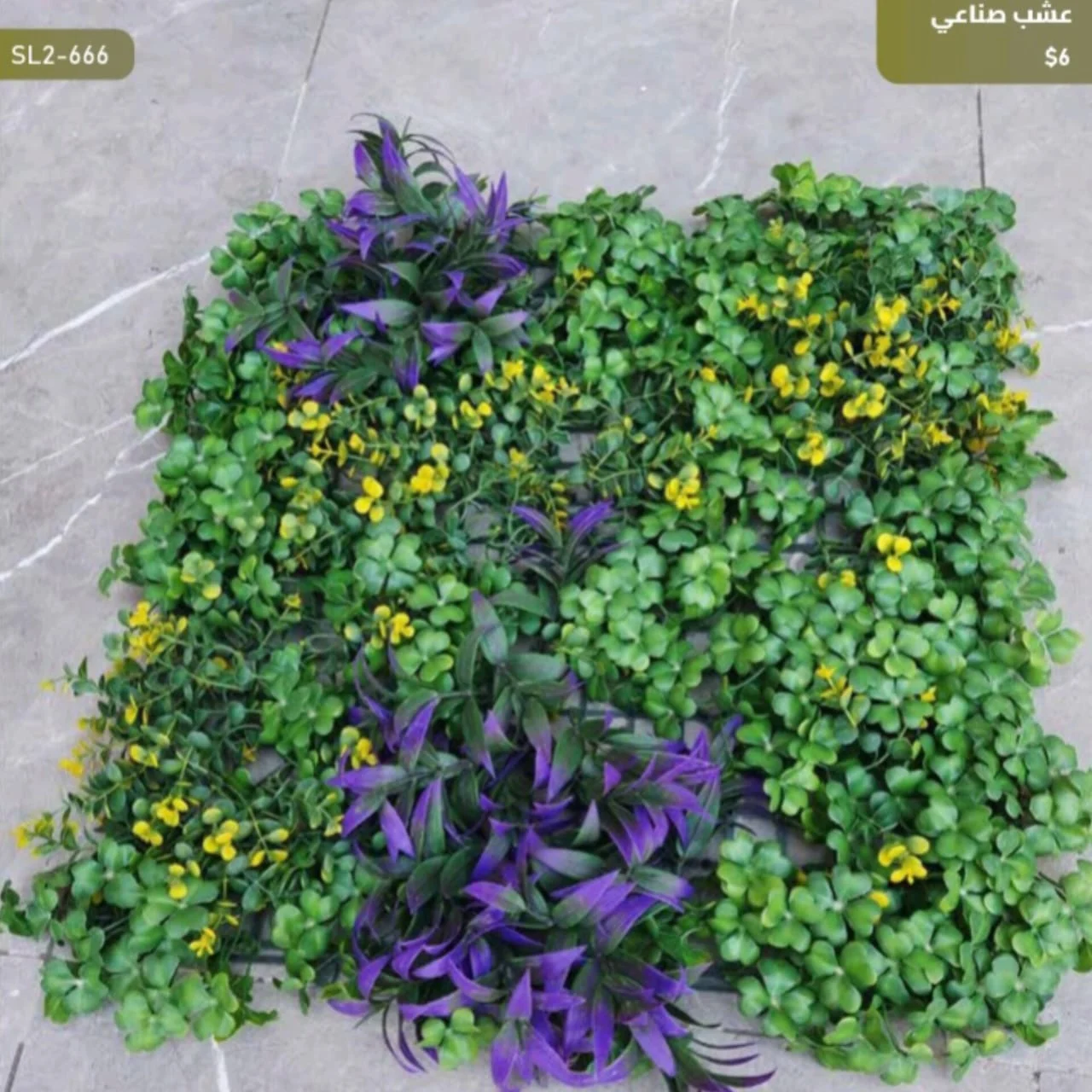 WhatsApp Image 2026 04 20 at 9.49.29 AM