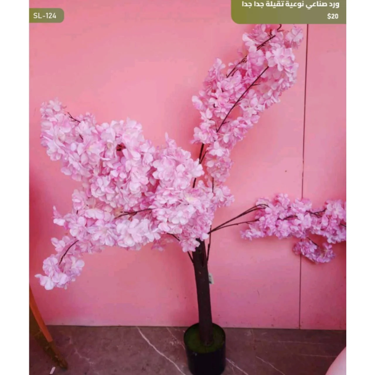 WhatsApp Image 2026 04 20 at 9.49.30 AM 1