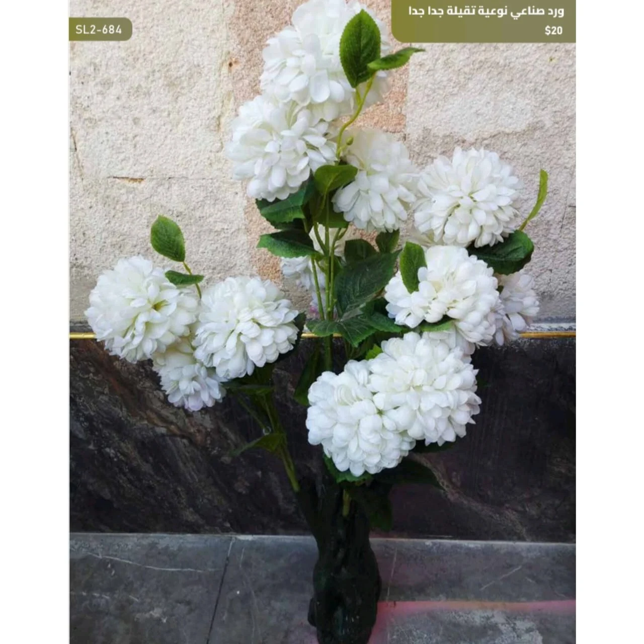 WhatsApp Image 2026 04 20 at 9.49.30 AM 2