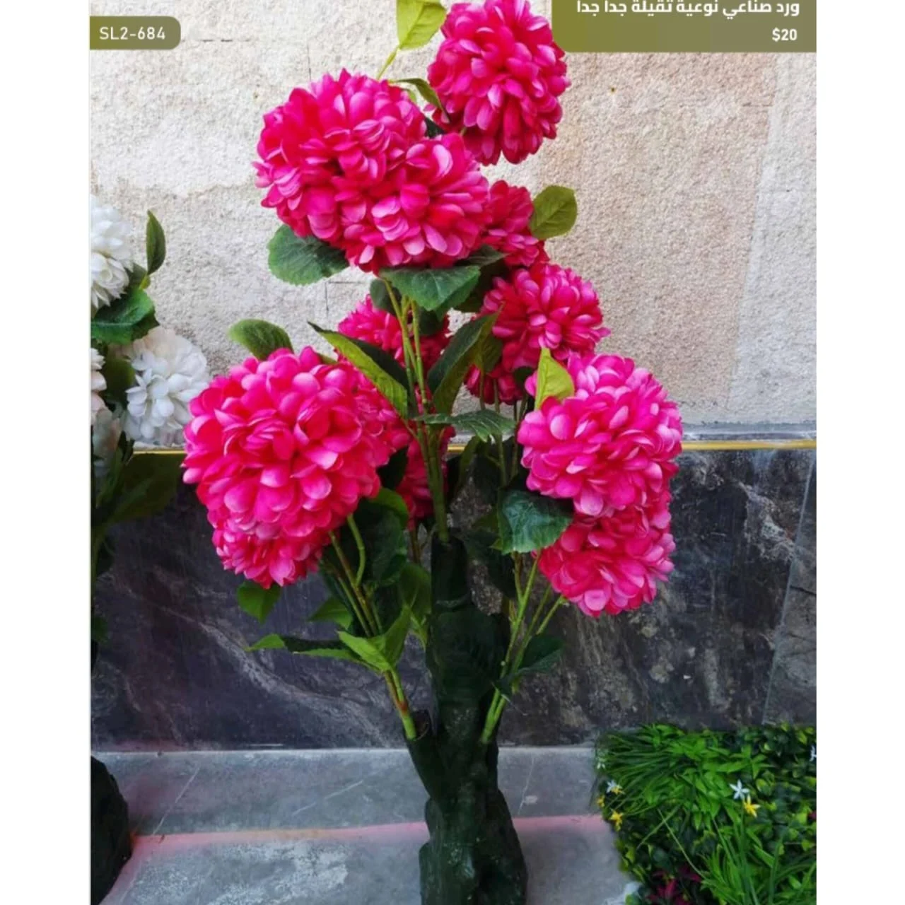 WhatsApp Image 2026 04 20 at 9.49.31 AM 2