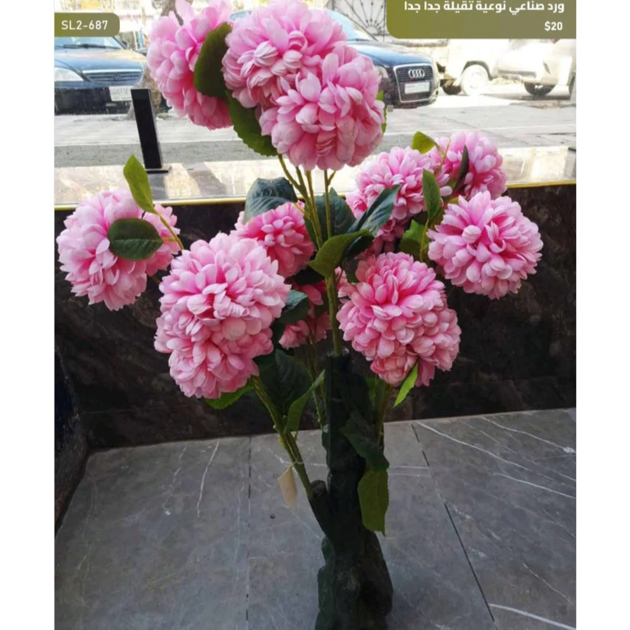 WhatsApp Image 2026 04 20 at 9.49.31 AM