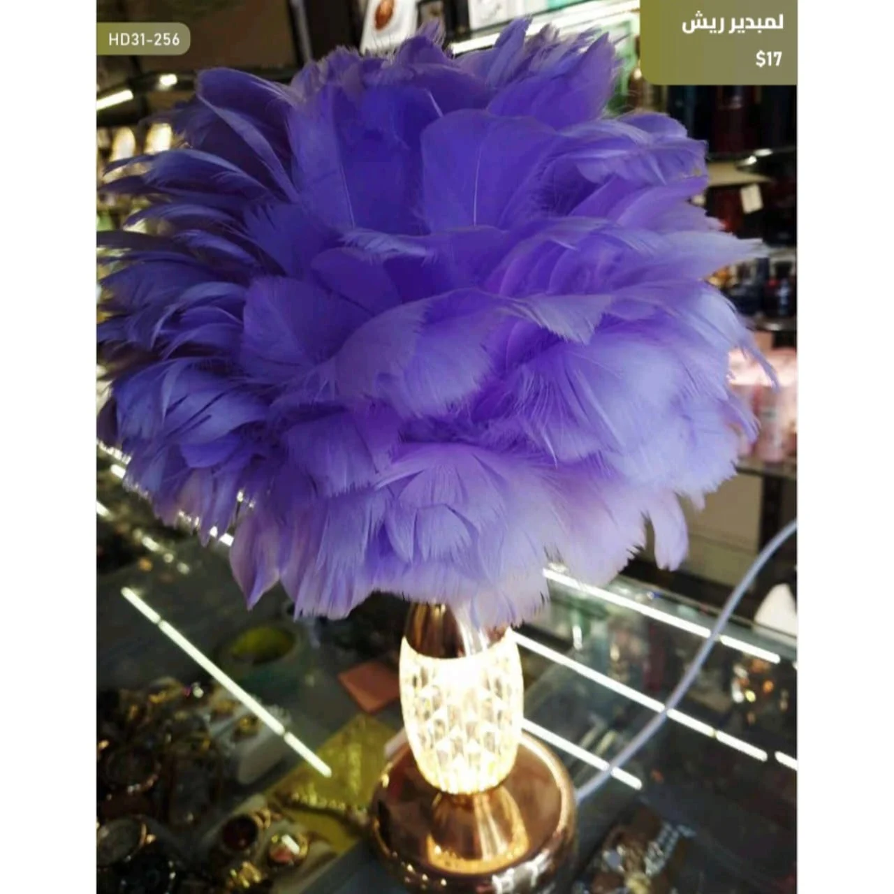 WhatsApp Image 2026 04 20 at 9.58.47 AM 1