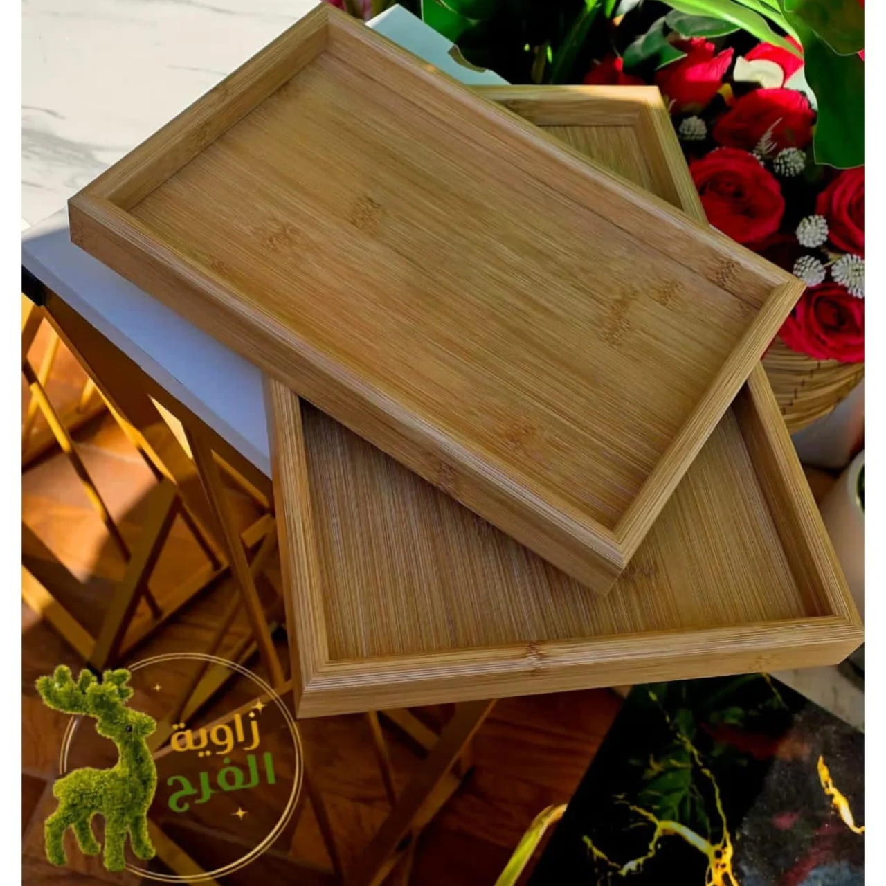 WhatsApp Image 2026 04 23 at 9.47.48 AM