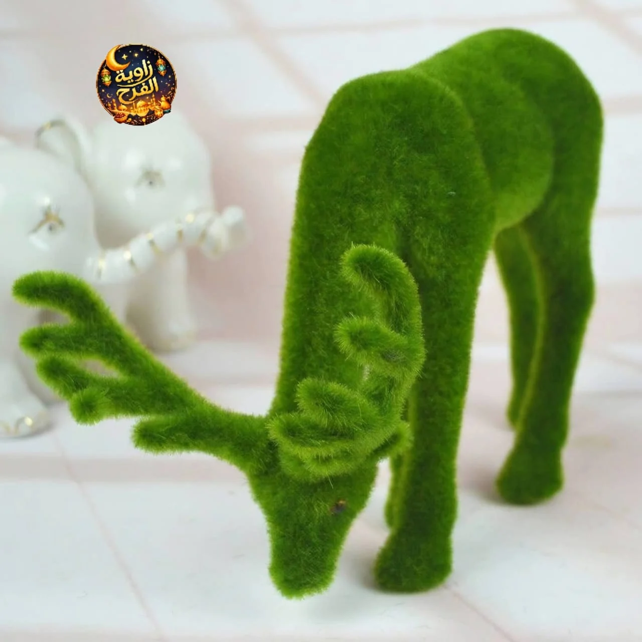 WhatsApp Image 2026 04 23 at 9.48.01 AM