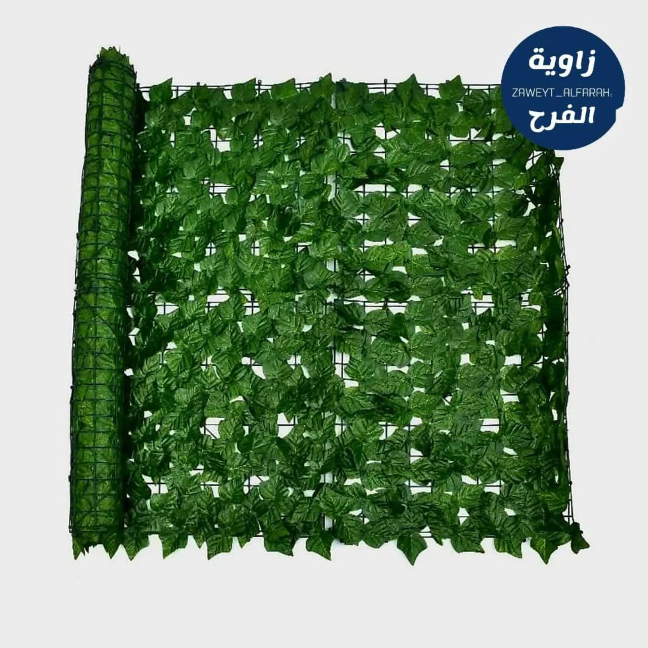 WhatsApp Image 2026 04 23 at 9.48.16 AM