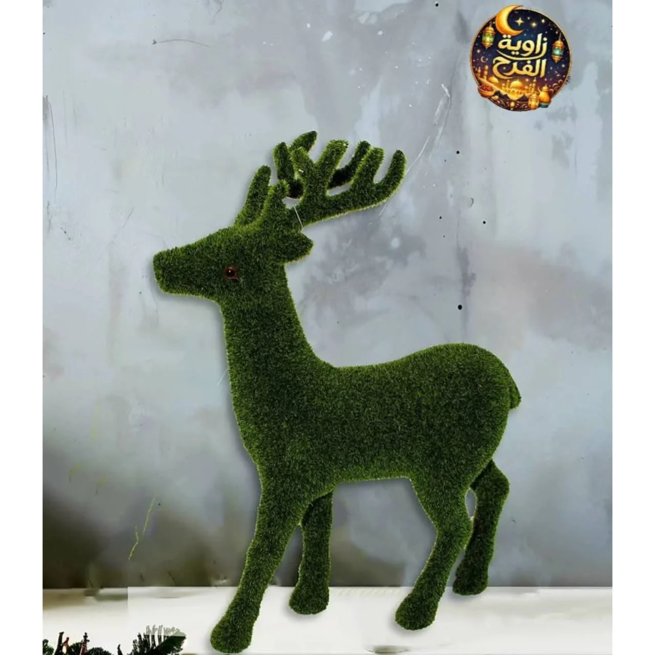 WhatsApp Image 2026 04 23 at 9.50.23 AM