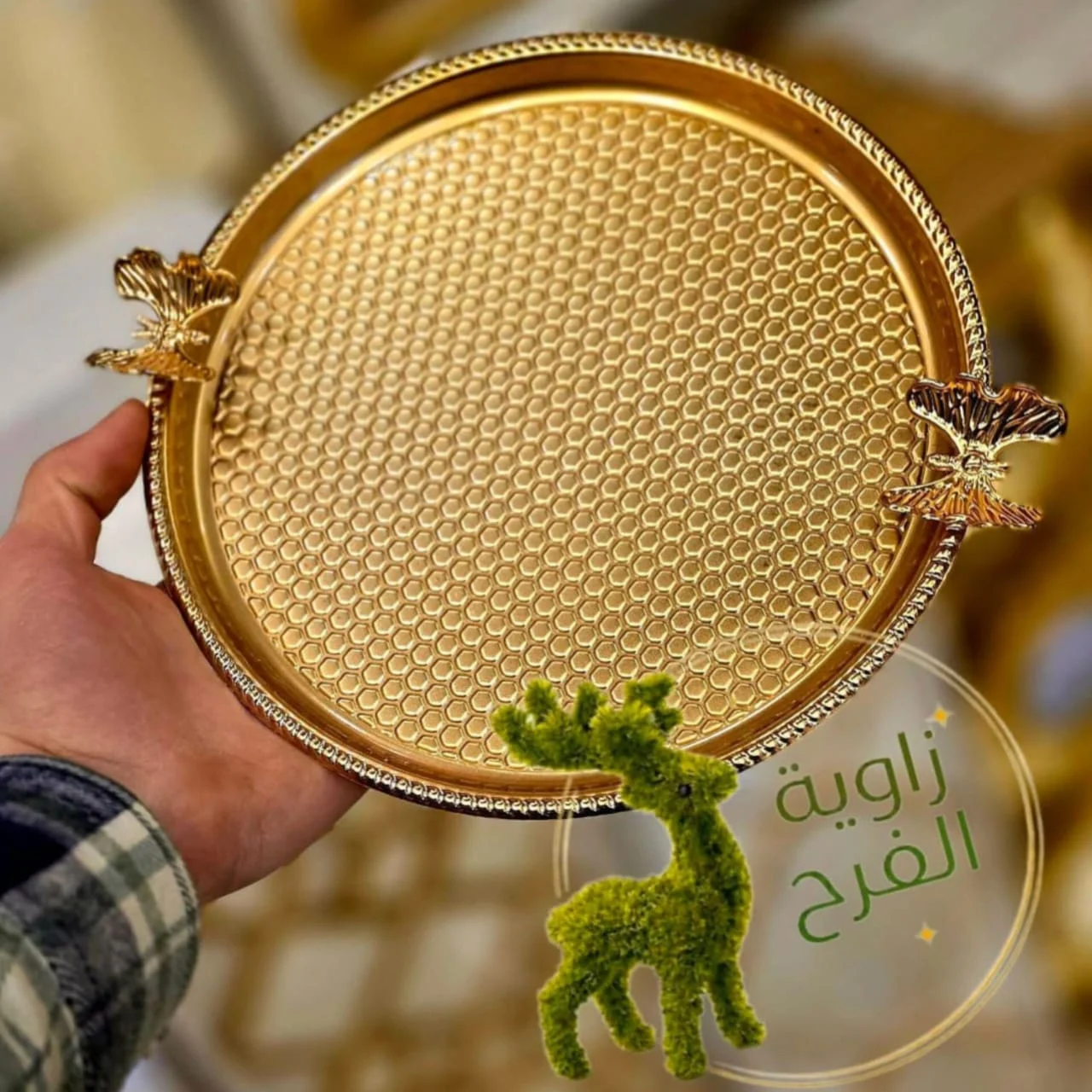 WhatsApp Image 2026 04 23 at 9.55.47 AM