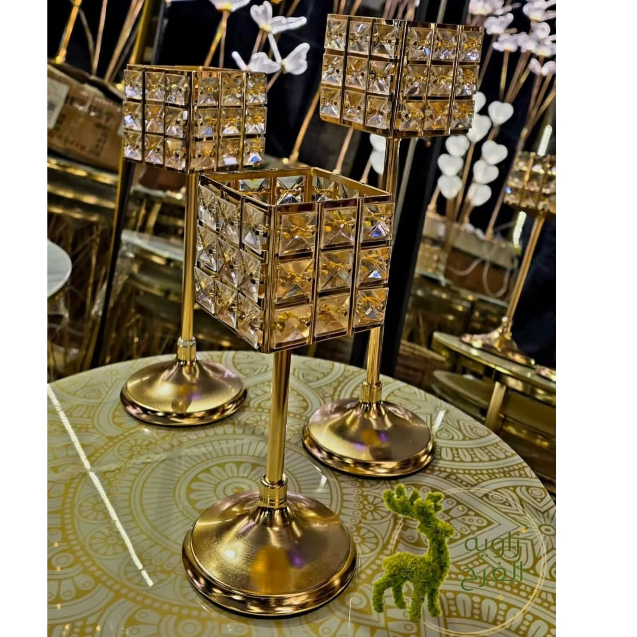 WhatsApp Image 2026 04 23 at 9.55.57 AM