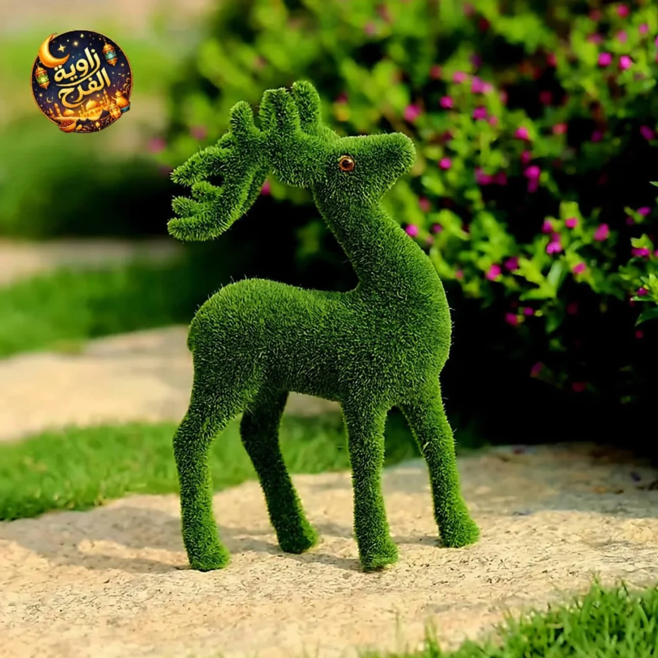 WhatsApp Image 2026 04 23 at 9.56.19 AM