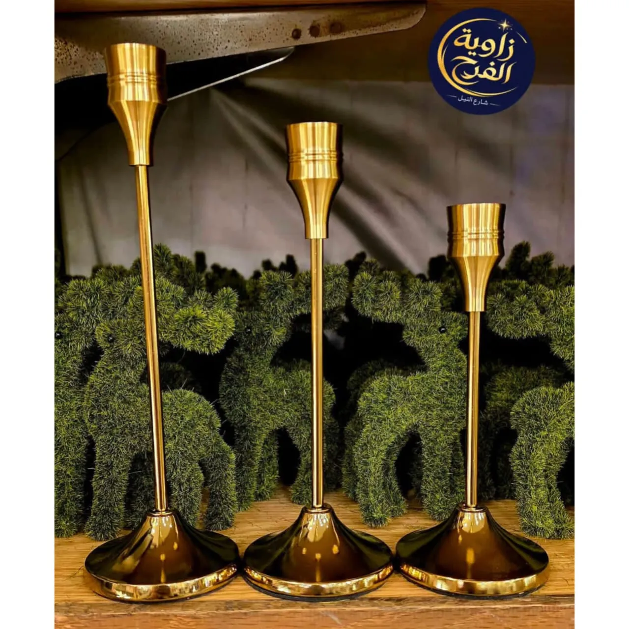 WhatsApp Image 2026 04 23 at 9.56.43 AM