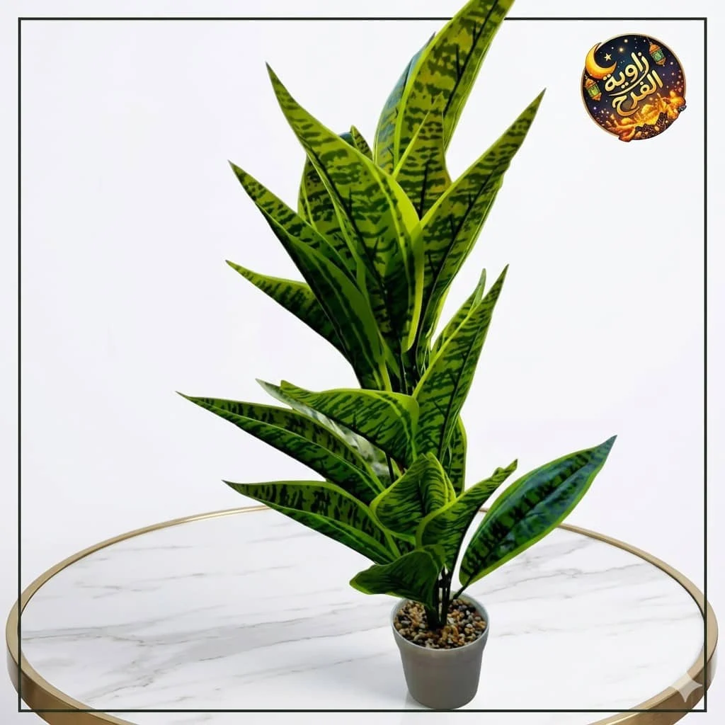 WhatsApp Image 2026 04 25 at 12.31.15 AM