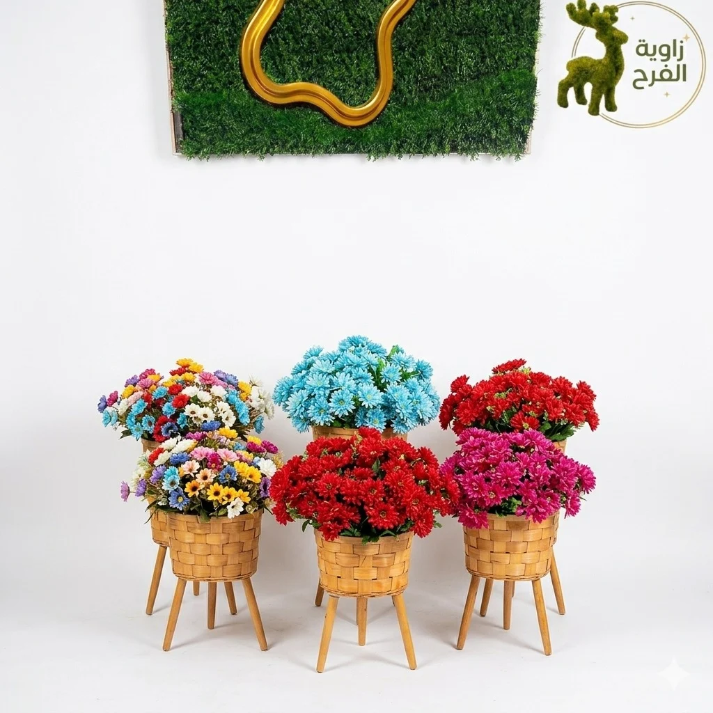 WhatsApp Image 2026 04 25 at 2.44.48 AM