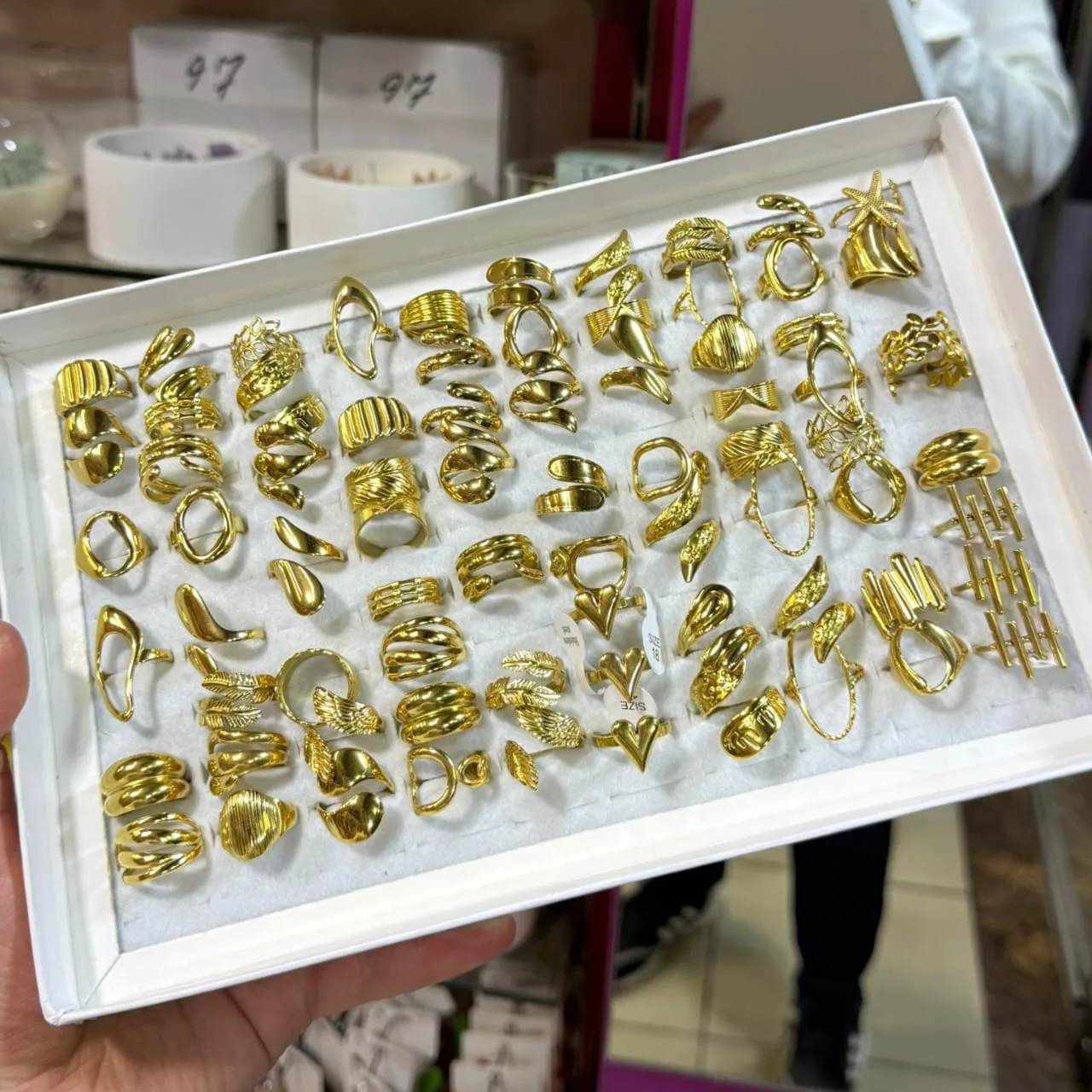 WhatsApp Image 2026 04 26 at 11.09.05 AM