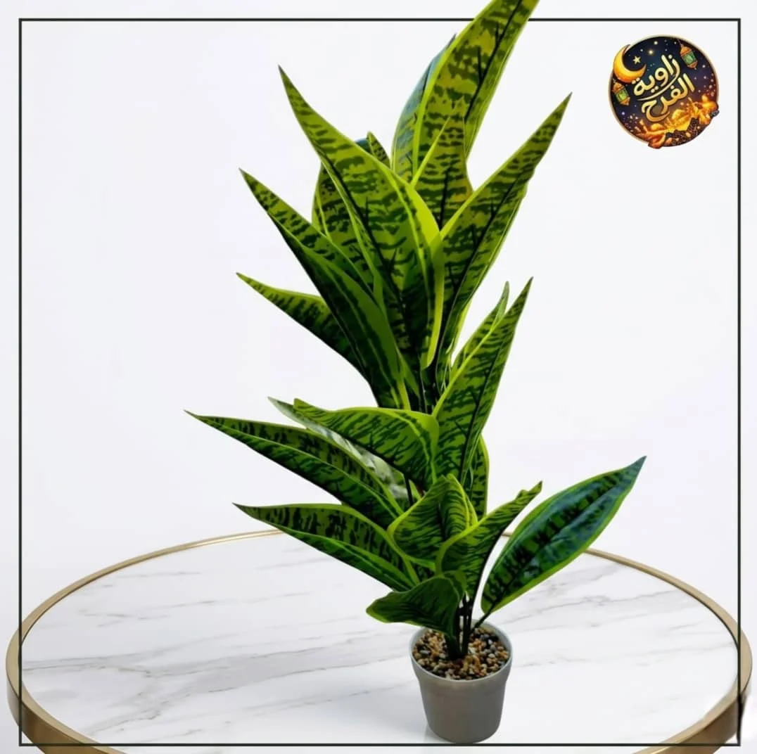 WhatsApp Image 2026 04 27 at 11.33.49 PM